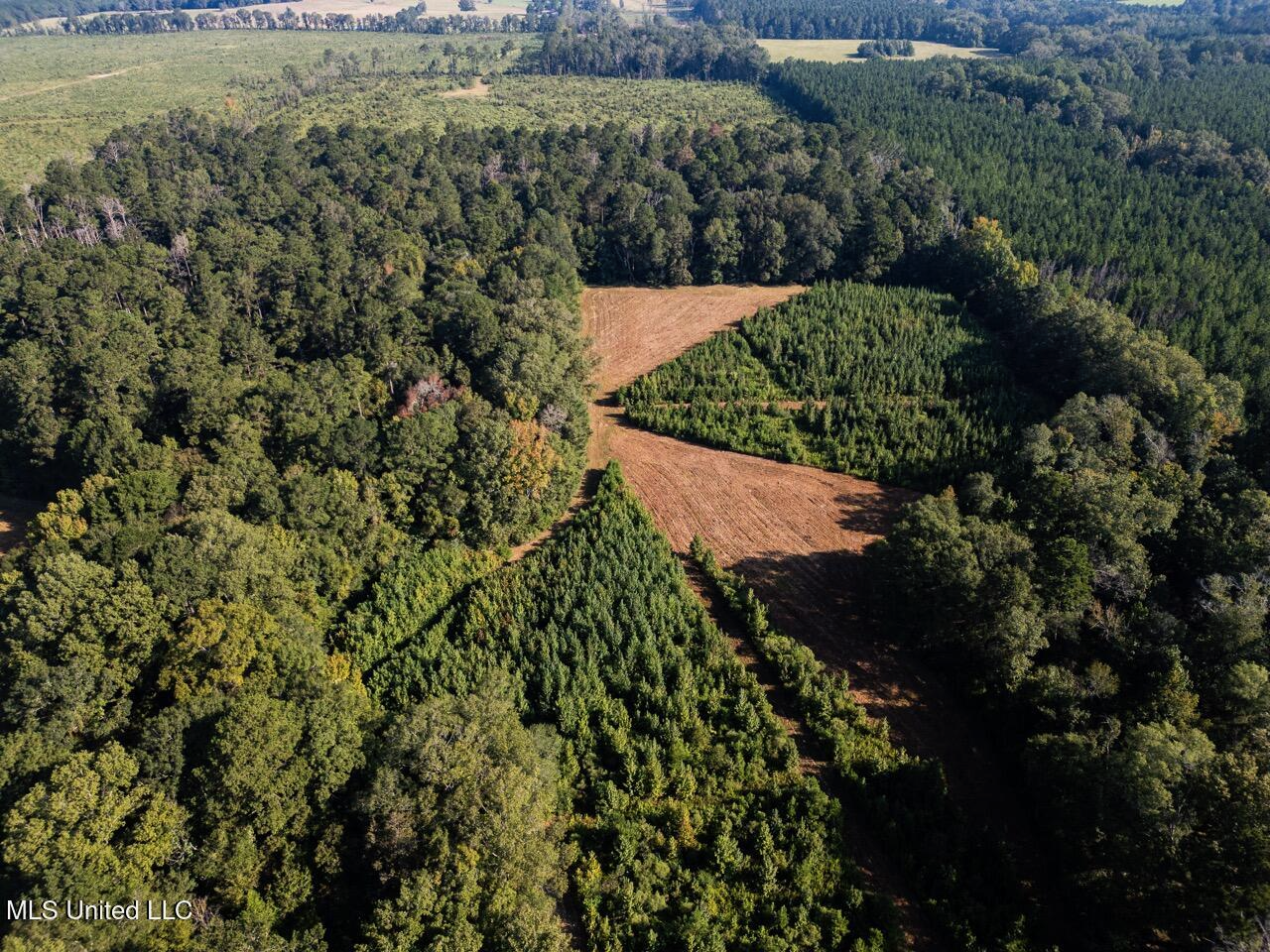 Cotton Creek 169 Acres for Sale in Amite County, MS