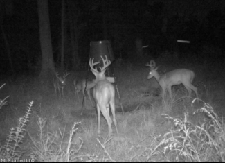 Land for Sale in Tangipahoa Parish, LA.