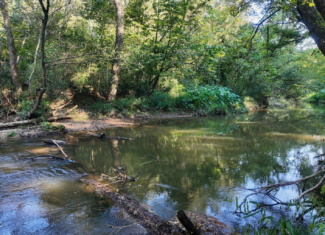 30 Acre Amite River Hunting Tract Amite County MS