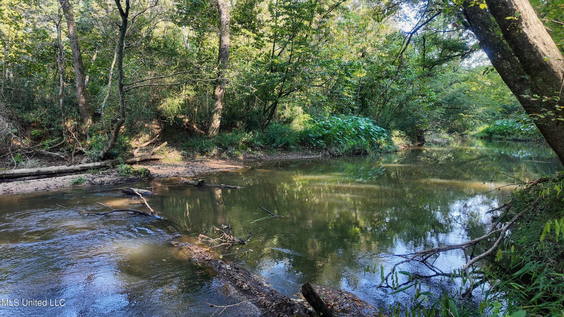 30 Acre Amite River Hunting Tract Amite County MS