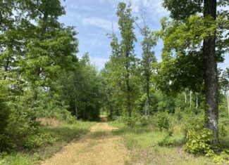 LAND FOR SALE IN TN, CREEKS, OPEN LAND, WOODED, CITY WATER