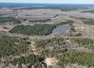Duck, Deer, and Fishing Land for Sale on Little River