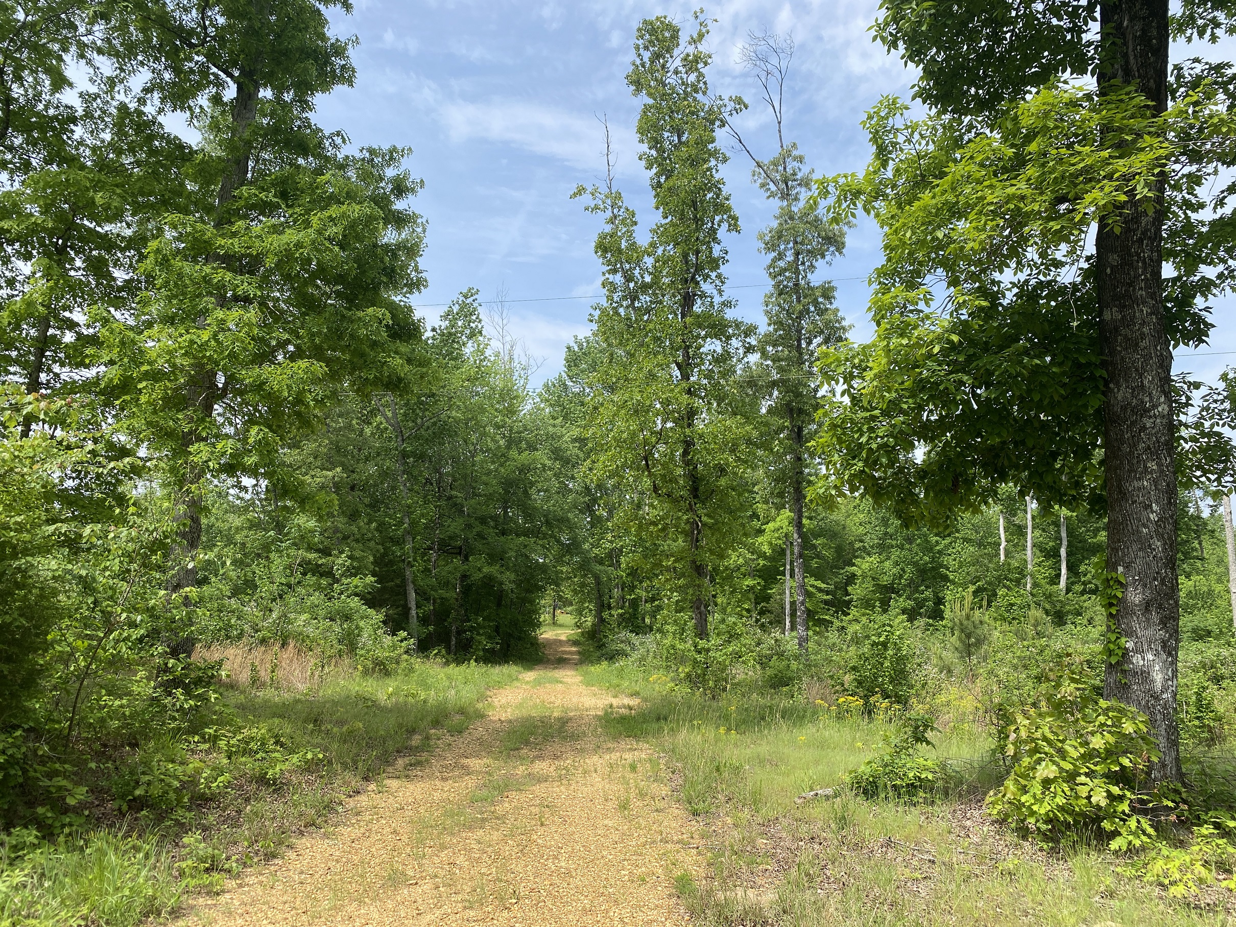 LAND FOR SALE IN TN, CREEKS, OPEN LAND, WOODED, CITY WATER
