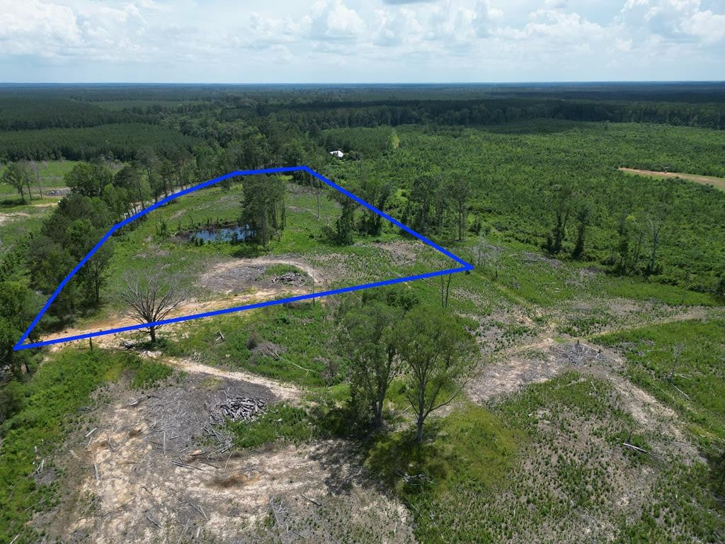Land for Sale in Amite County, MS