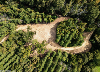 302 Acres in Hermanville, Claiborne County, MS Land