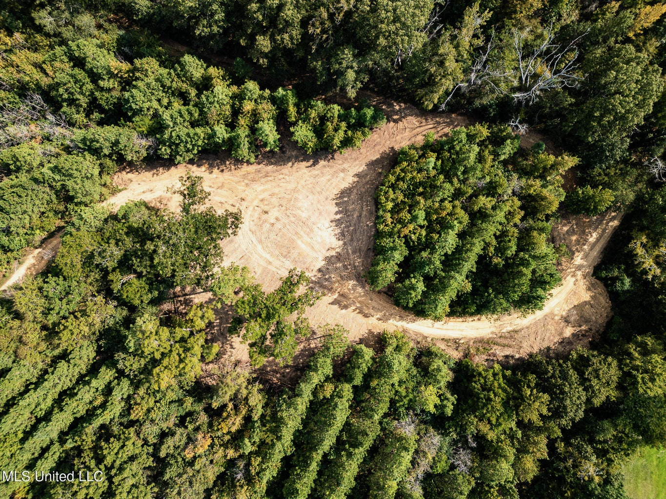 302 Acres in Hermanville, Claiborne County, MS Land