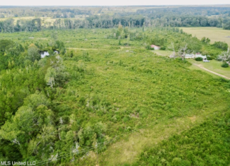 Land for Sale in Lincoln County, MS