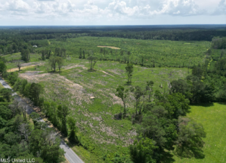 Land for Sale in Amite County, MS