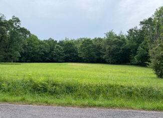 WOODED LAND FOR SALE IN TN, HUNTING LAND, LAND TO BUILD ON IN MCNAIRY COUNTY