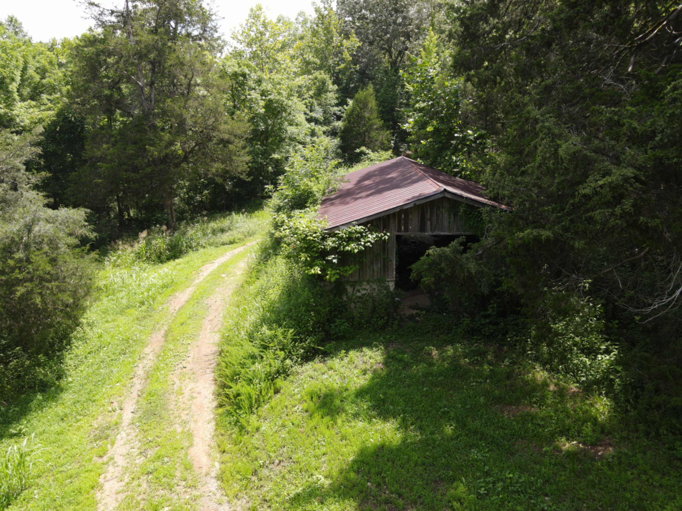 DEER HUNTING PROPERTY FOR SALE IN TN