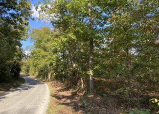 LAND FOR SALE IN TN, 25 AC+/-, HUNTING, WOODED LAND, CREEK