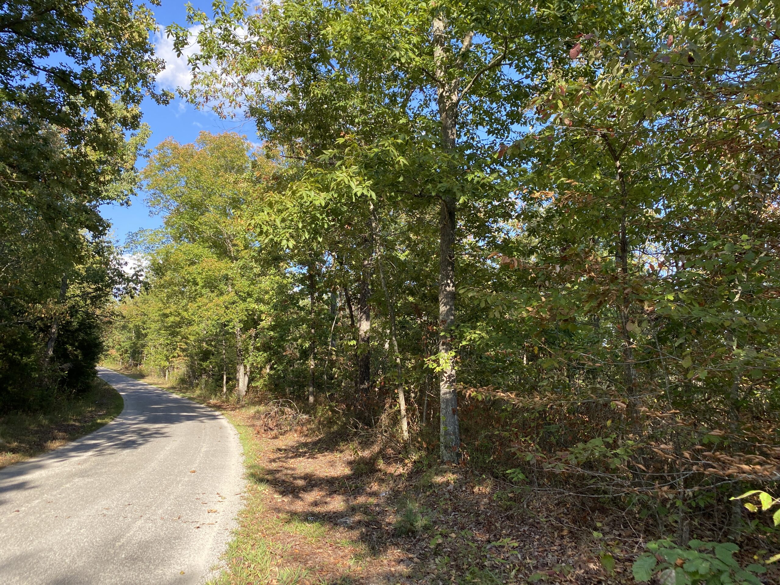 LAND FOR SALE IN TN, 25 AC+/-, HUNTING, WOODED LAND, CREEK