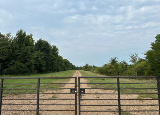 Duck and Deer Hunting Land for Sale Wisner  LA