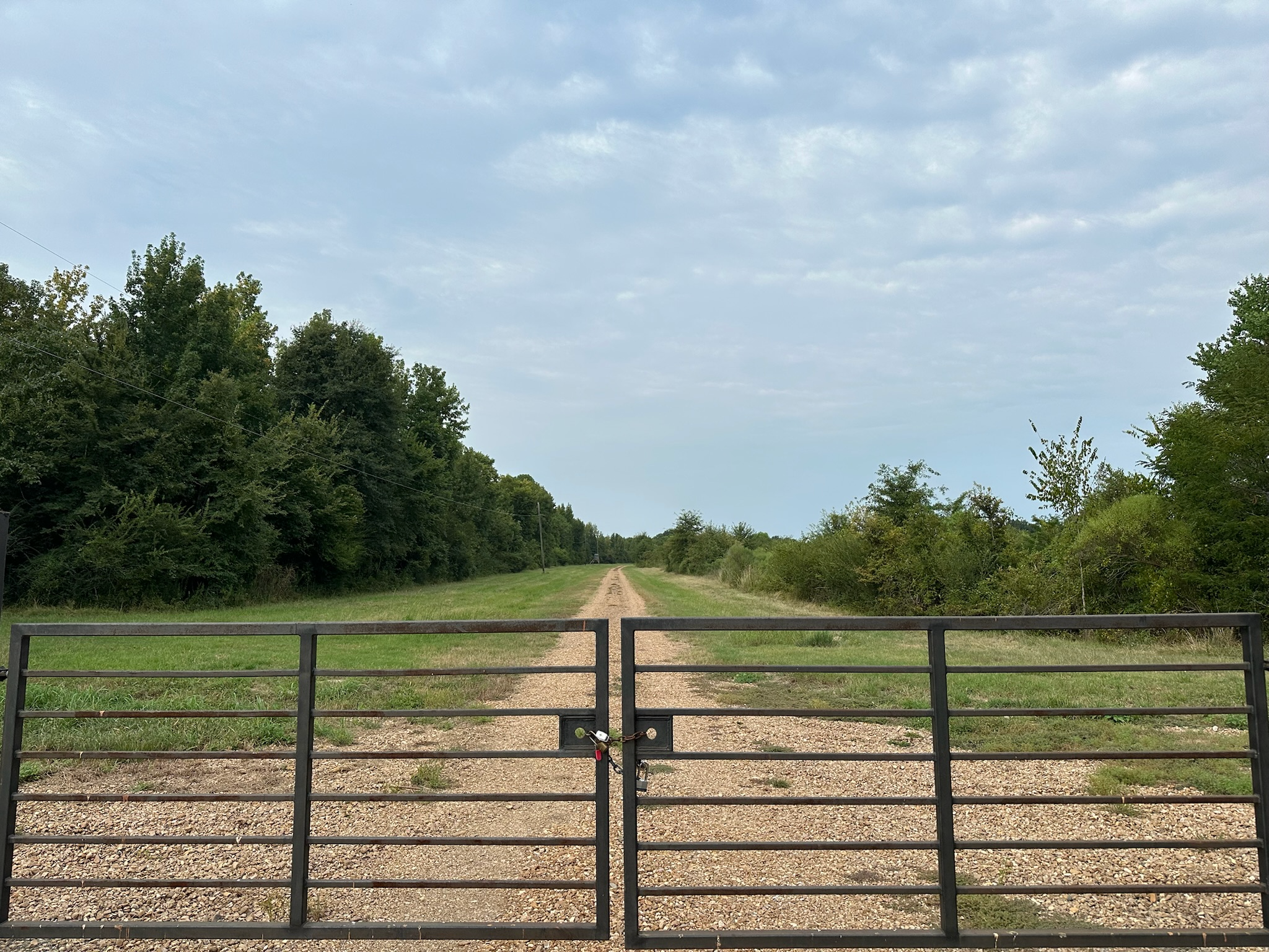 Duck and Deer Hunting Land for Sale Wisner  LA