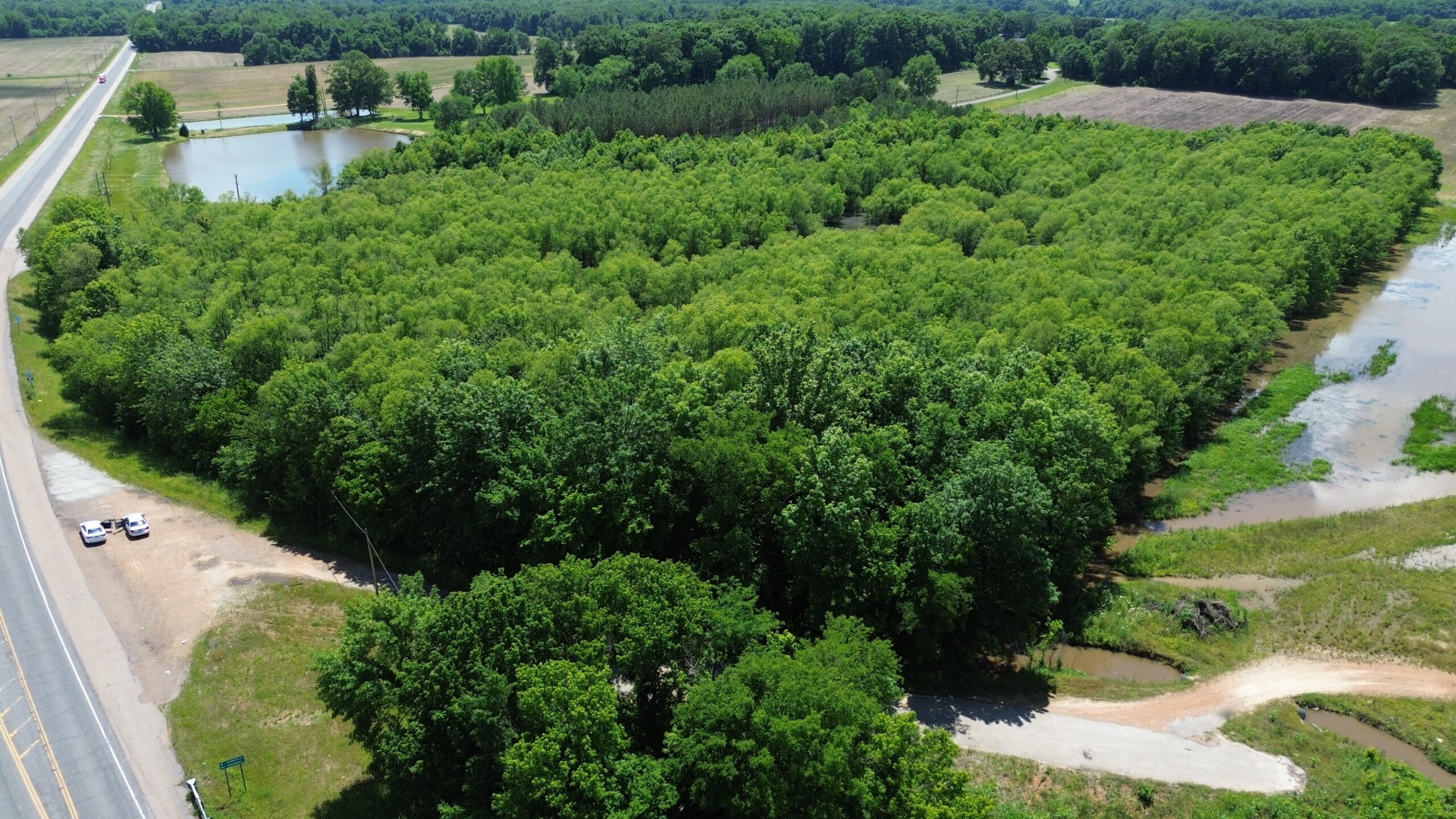 17 ACRES, WOODED, BUILDING SITE, CRP, HUNTING
