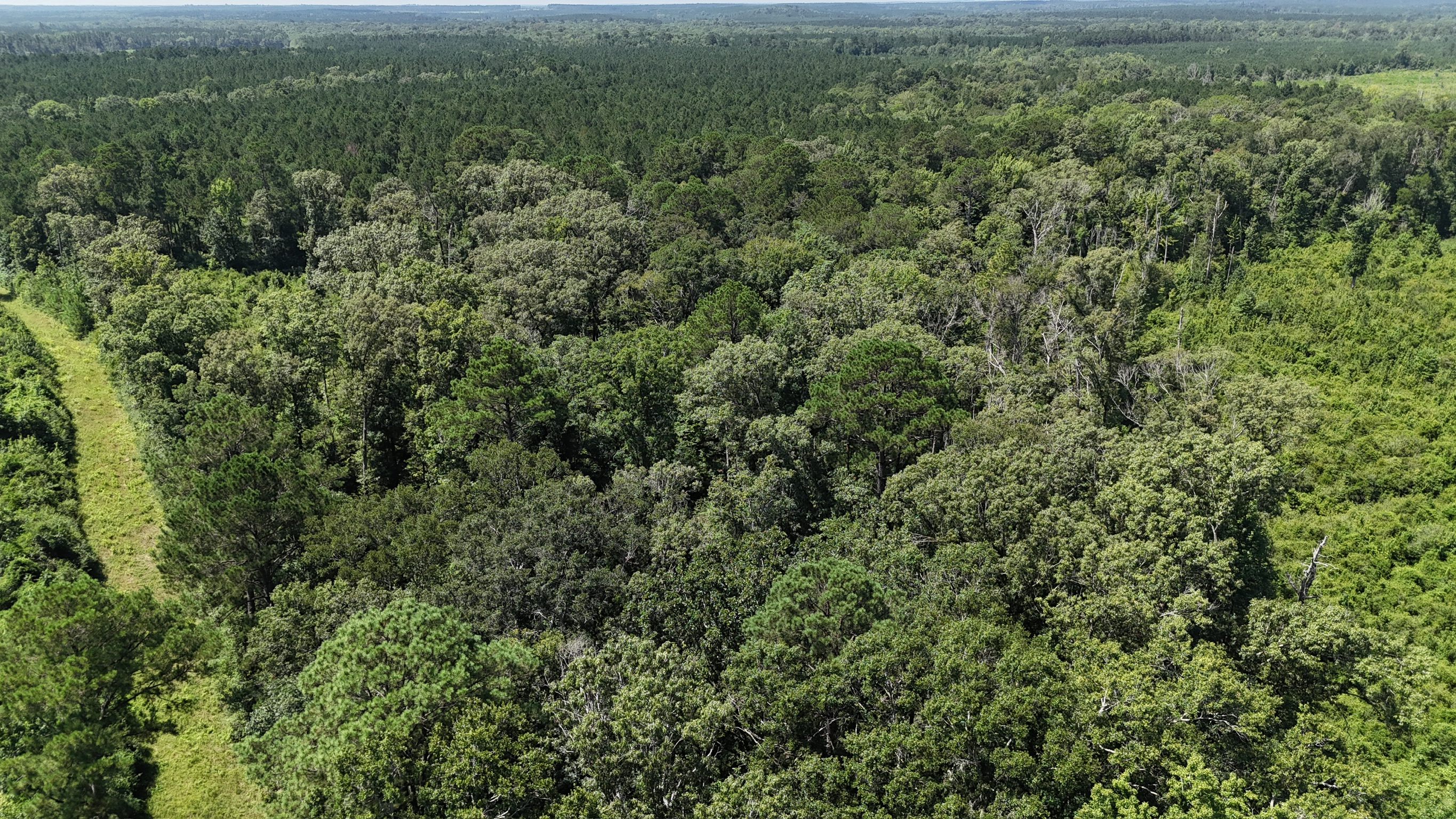 Hunting Property and Homesite in Jackson Parish LA