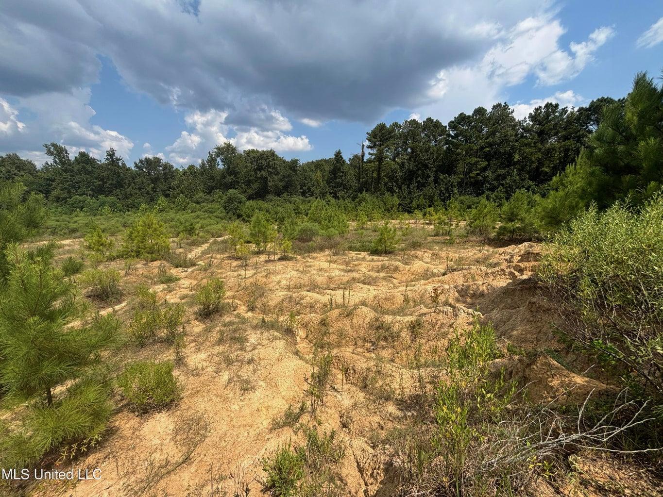 88 Acres for Sale in Hinds County Jackson, MS