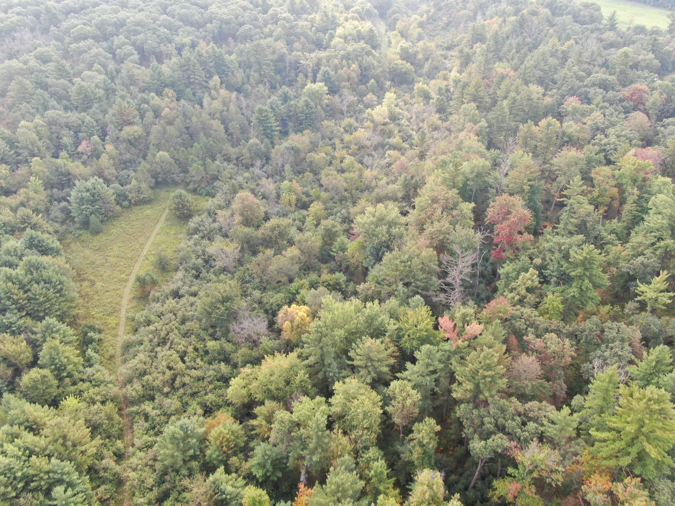 40 acres just north of Wisconsin Dells with abundant deer & turkey habitat