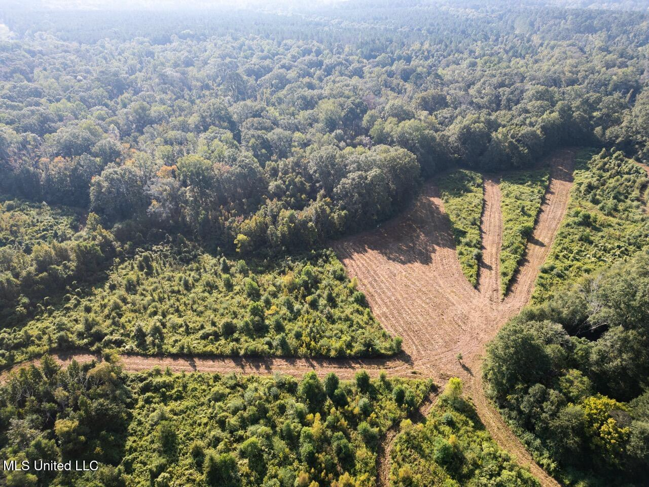 Cotton Creek 169 Acres for Sale in Amite County, MS
