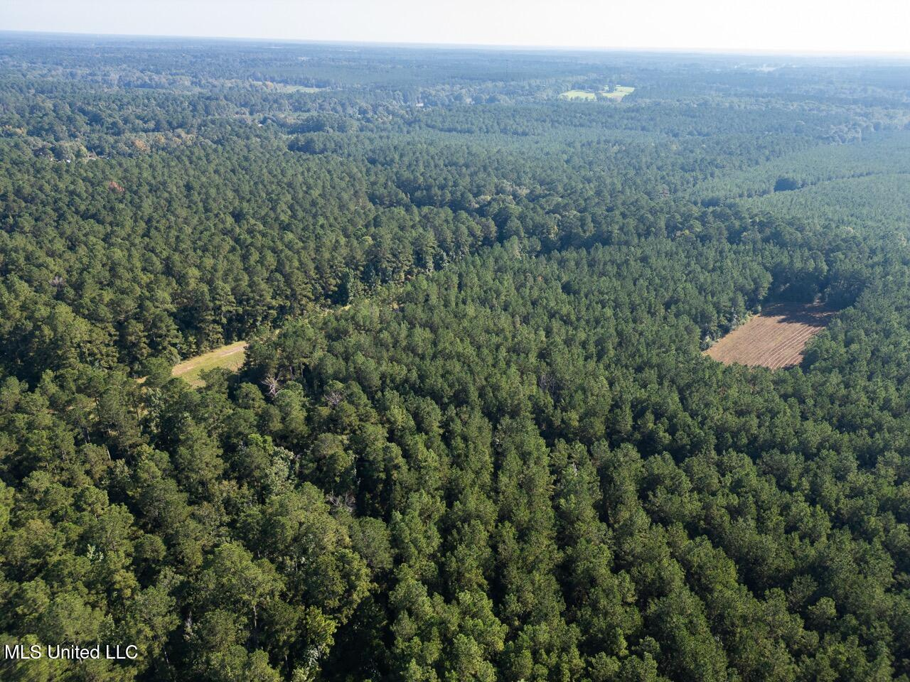 113 Acres Hunting Land with Home in Amite County, MS