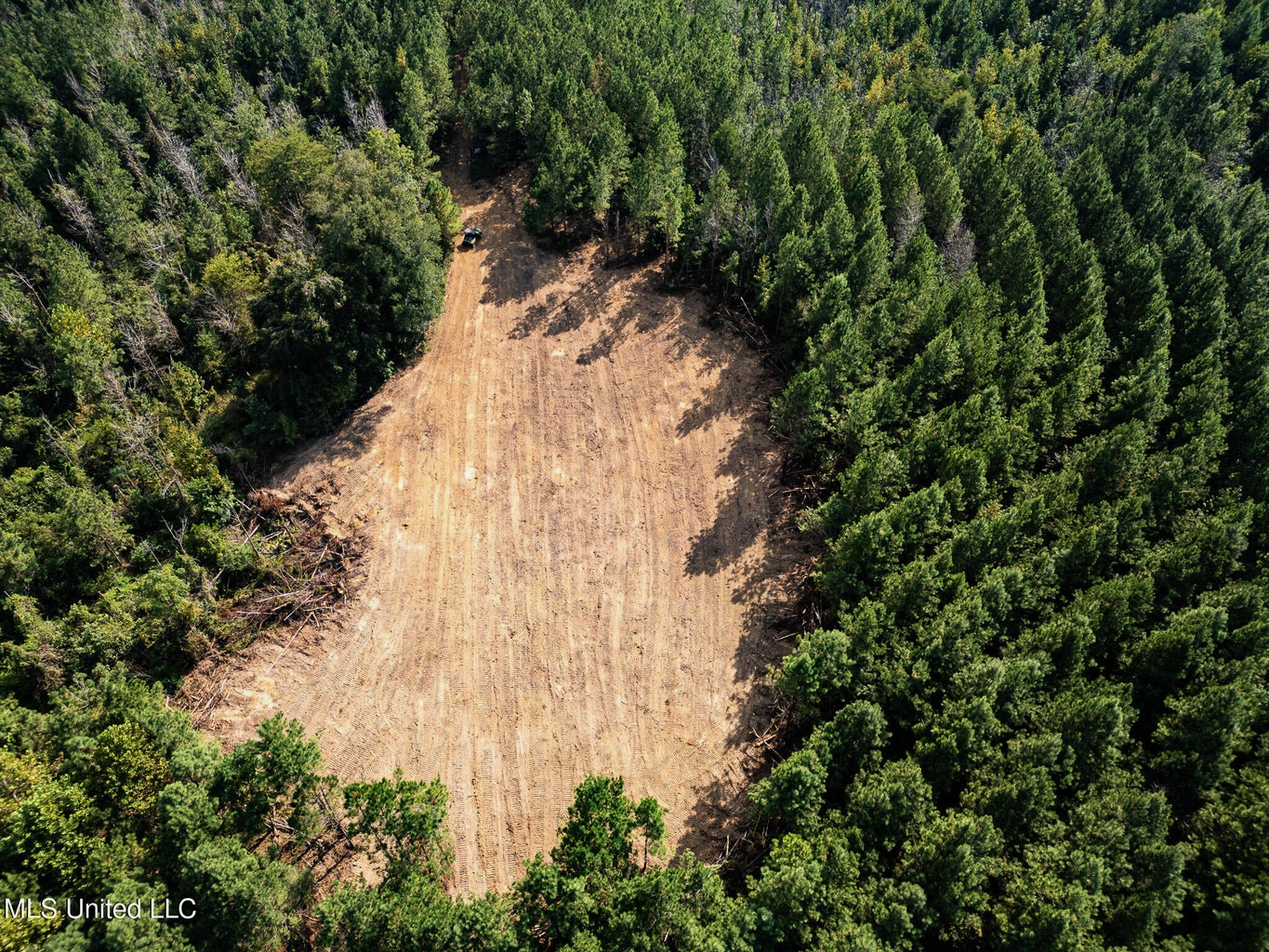302 Acres in Hermanville, Claiborne County, MS Land