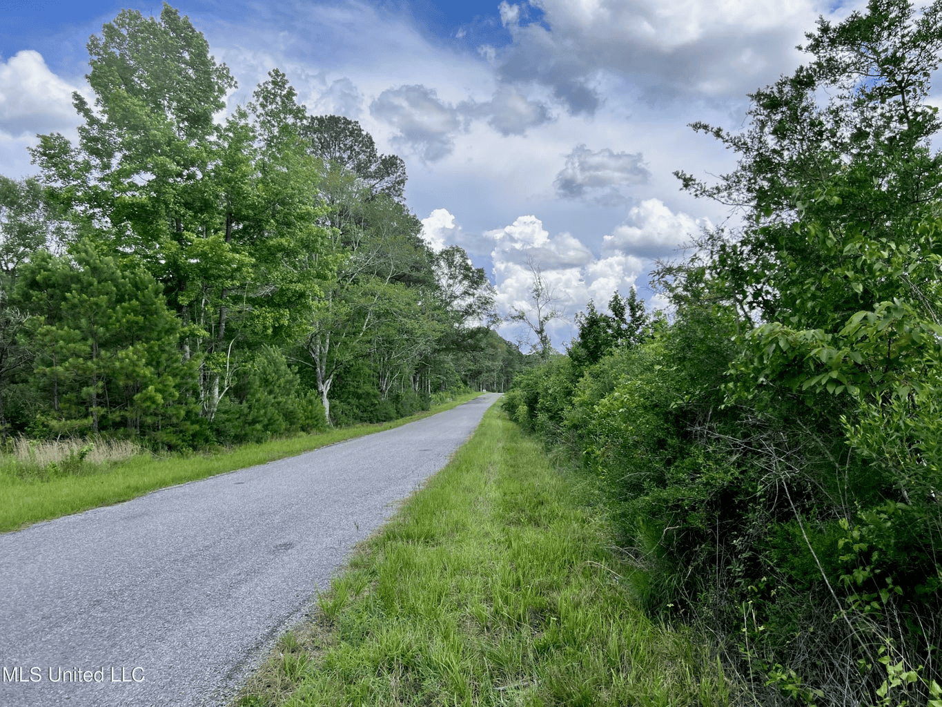 Land for Sale in Amite County, MS