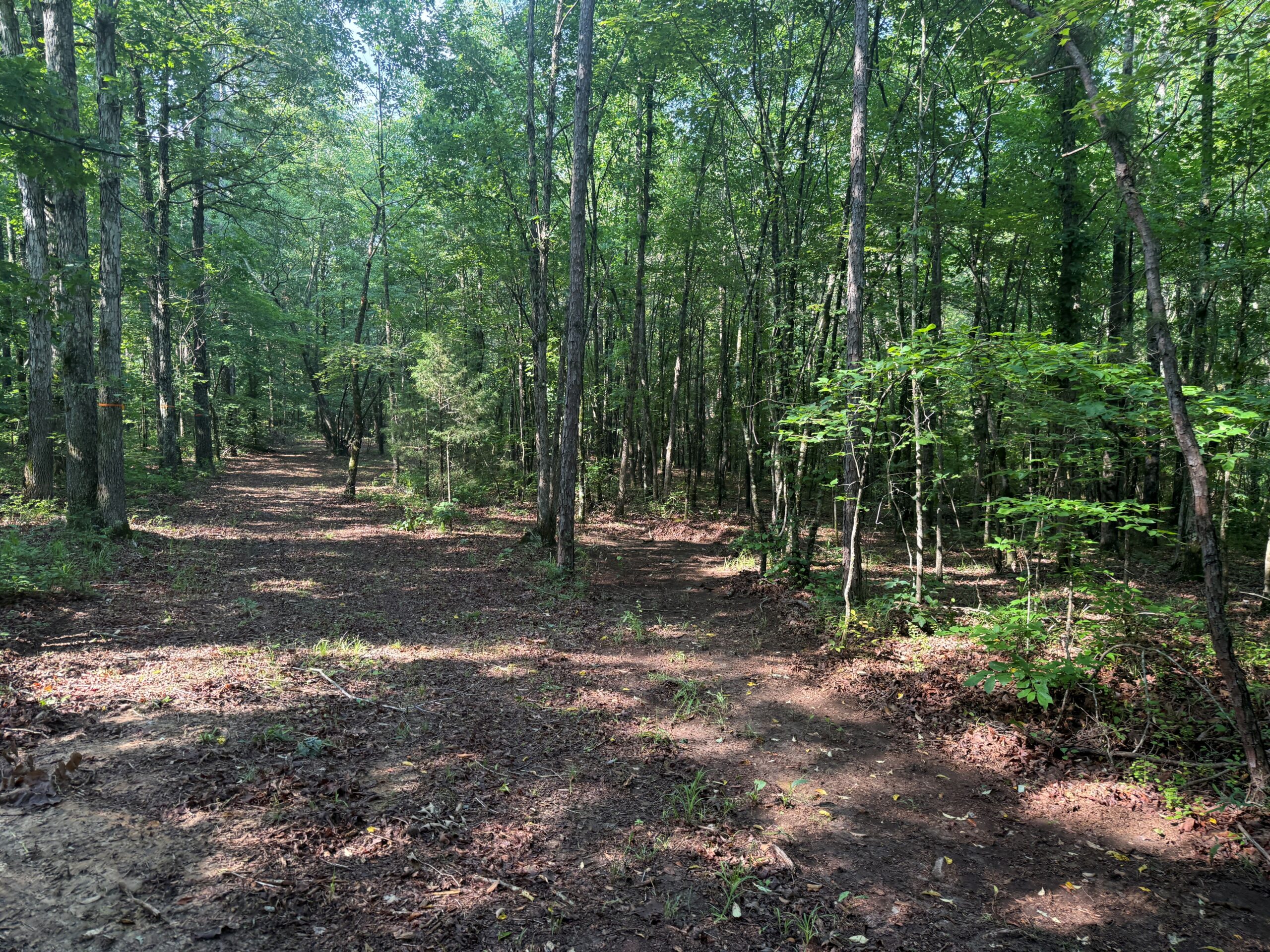 UNRESTRICTED PRIVATE LAND FOR SALE WITH DEER & TURKEY HUNTING