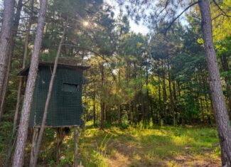 Multi-Use Land for Sale NE Lincoln Parish