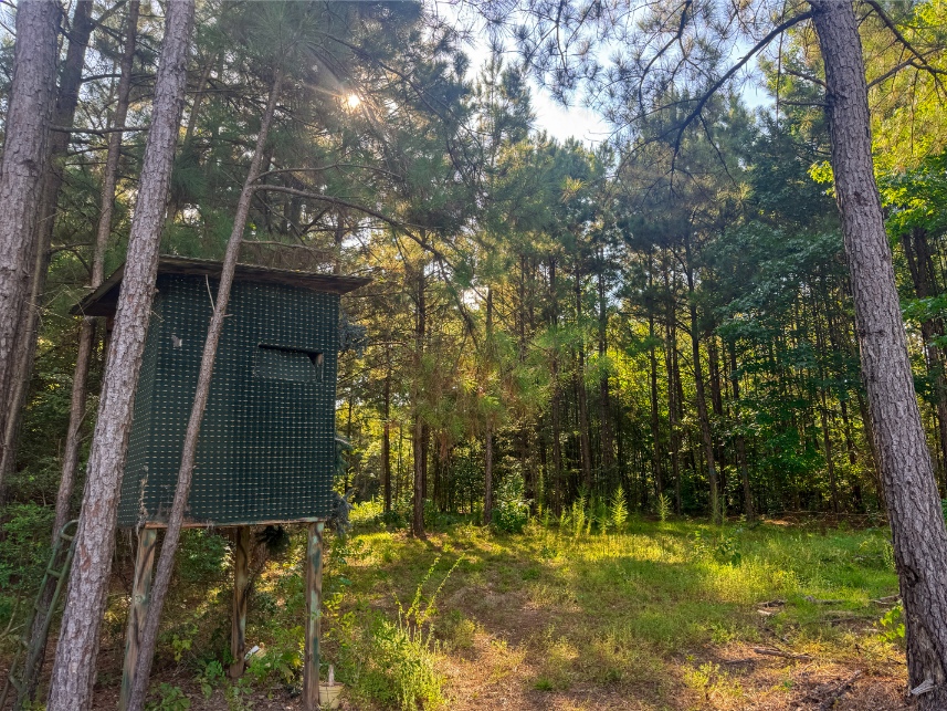 Multi-Use Land for Sale NE Lincoln Parish