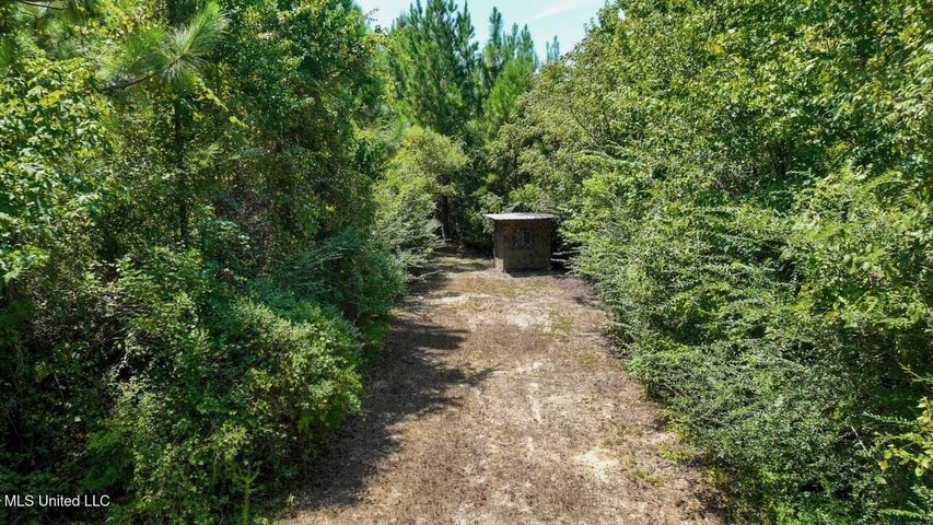 Magnolia MS 18.19 Acres with Mobile Home & Hunting Land