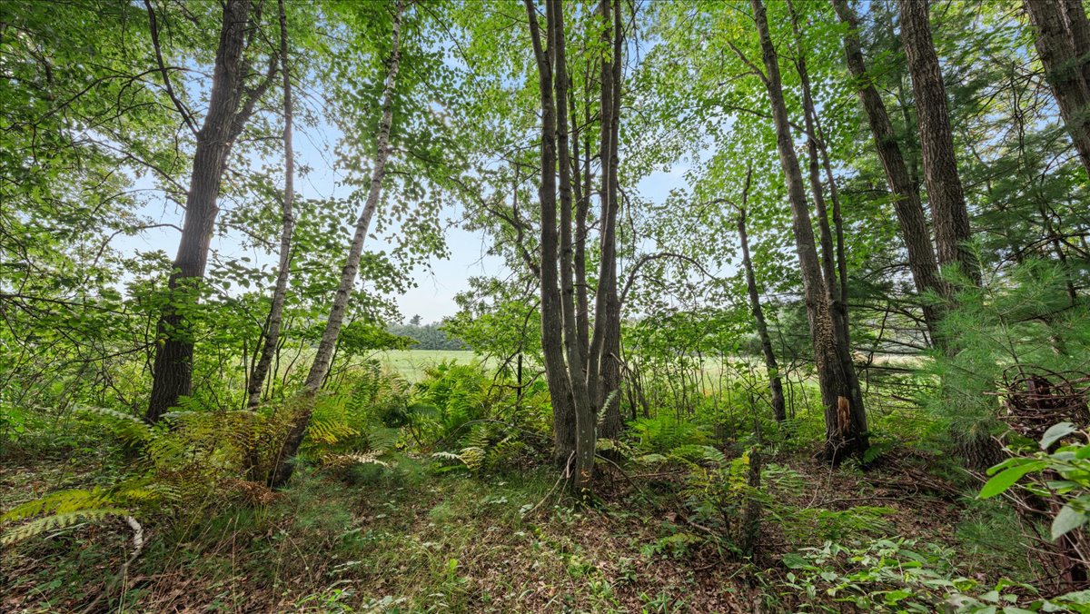 Hunting Camp on Poertner Rd in Clark County WI