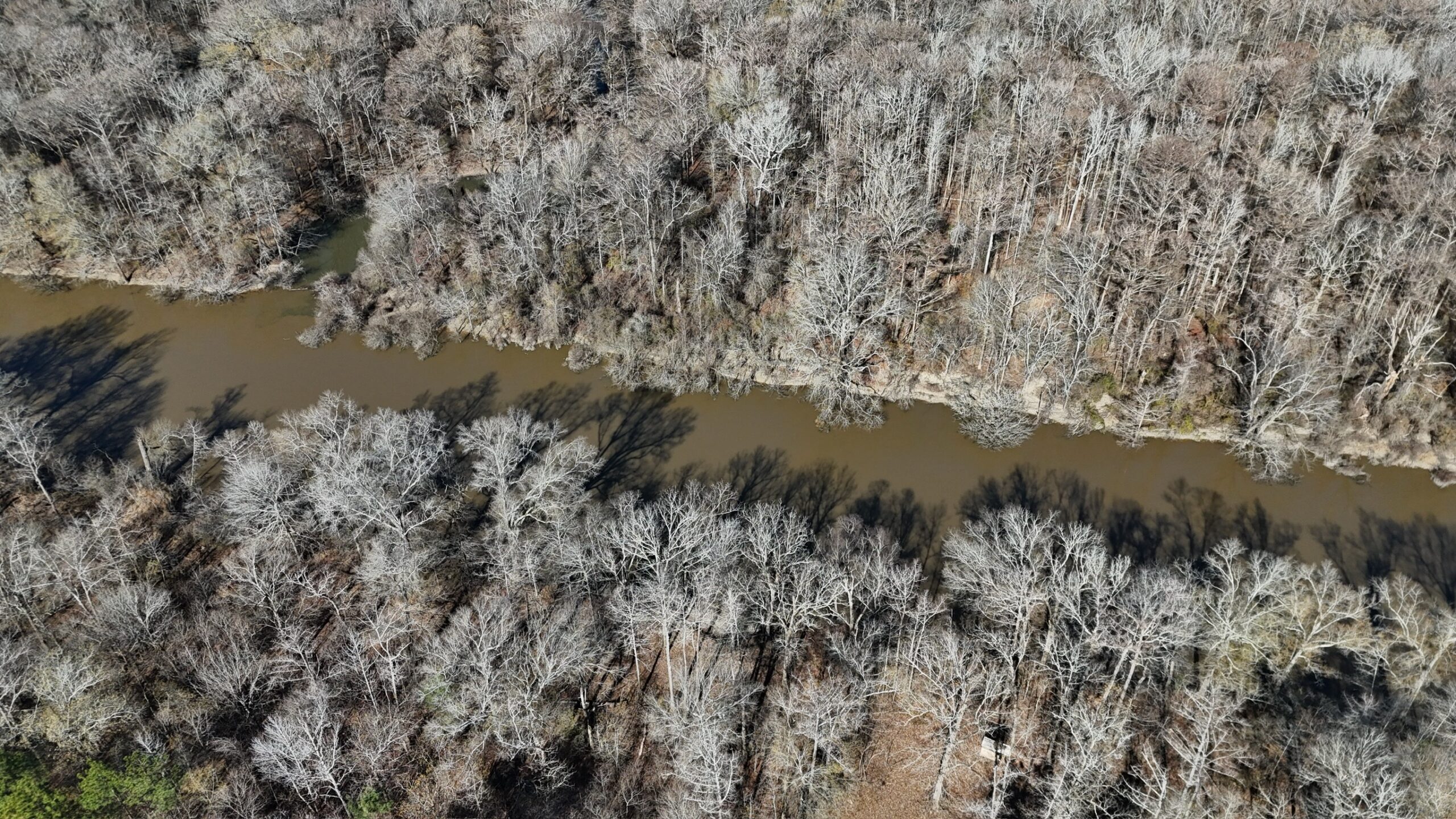 Duck, Deer, and Fishing Land for Sale on Little River