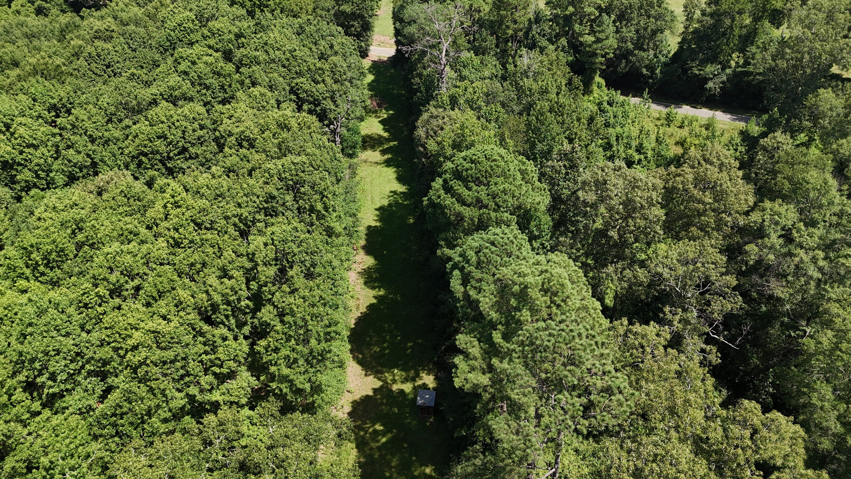 Hunting Property and Homesite in Jackson Parish LA