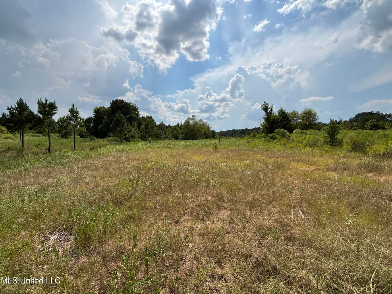 95 Acres for Sale in Hinds County Jackson, MS
