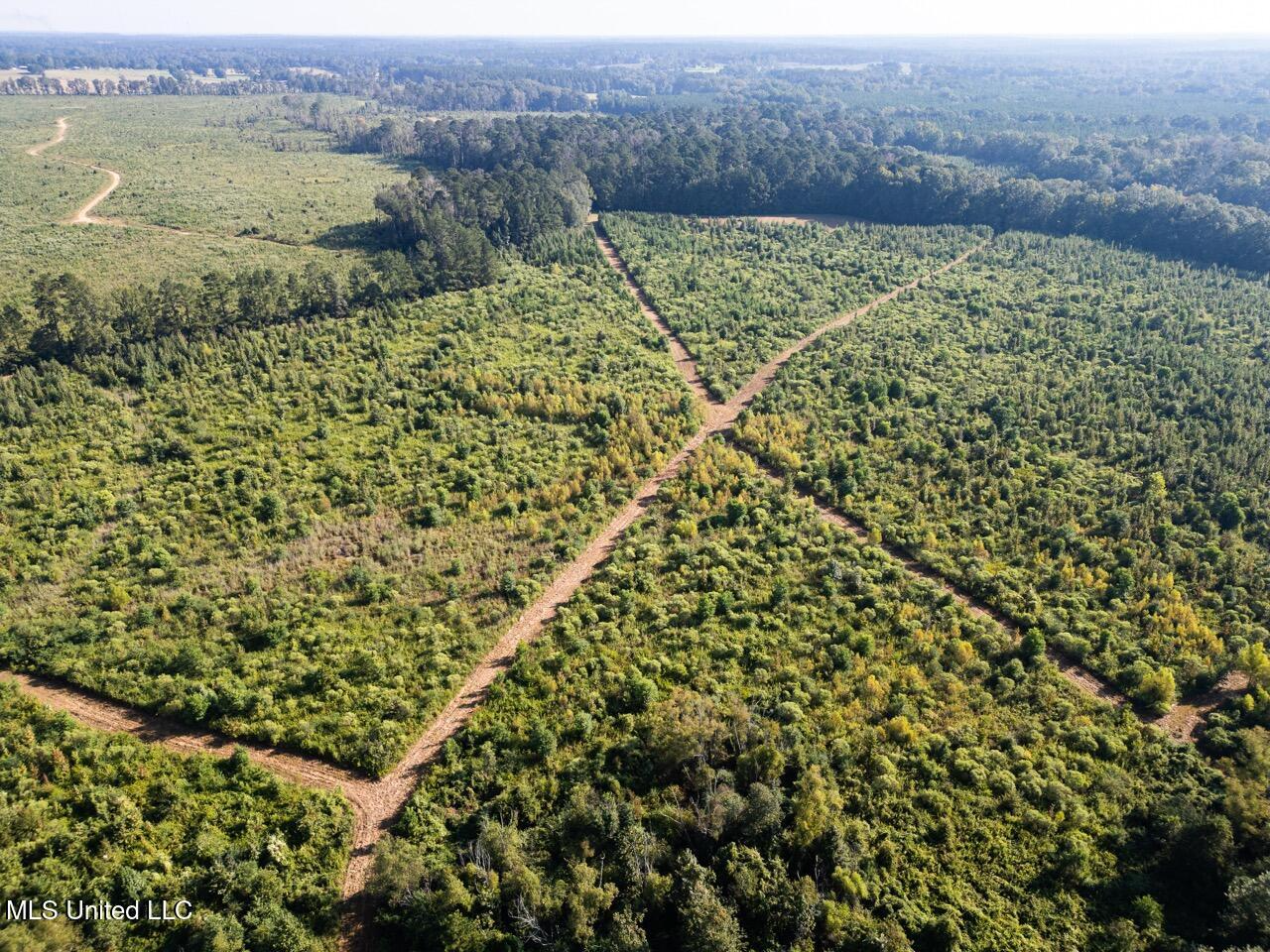 Cotton Creek 169 Acres for Sale in Amite County, MS