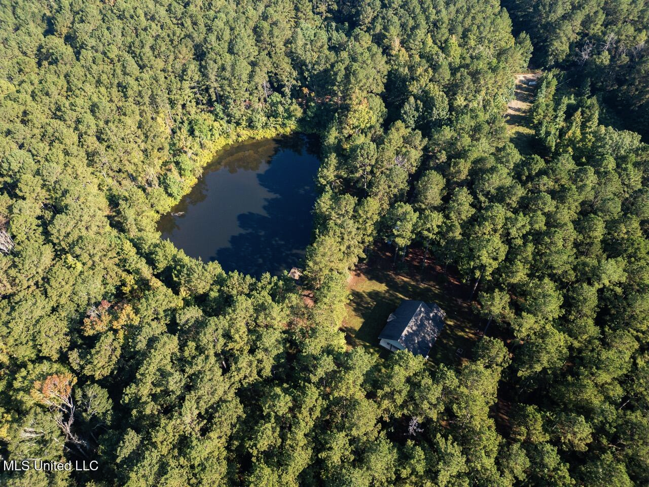 113 Acres Hunting Land with Home in Amite County, MS