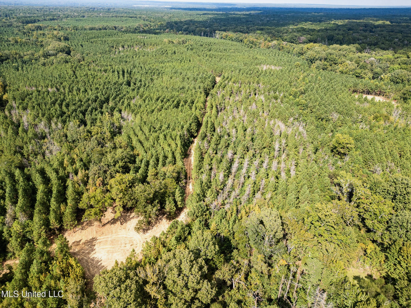 302 Acres in Hermanville, Claiborne County, MS Land