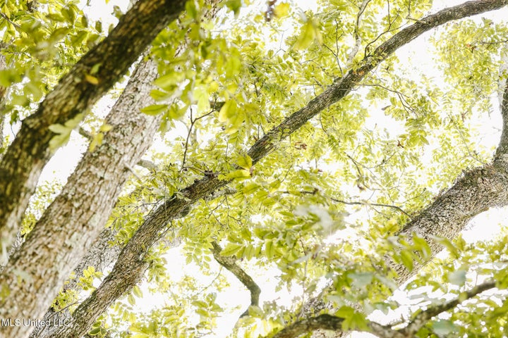 Land for Sale in Lincoln County, MS