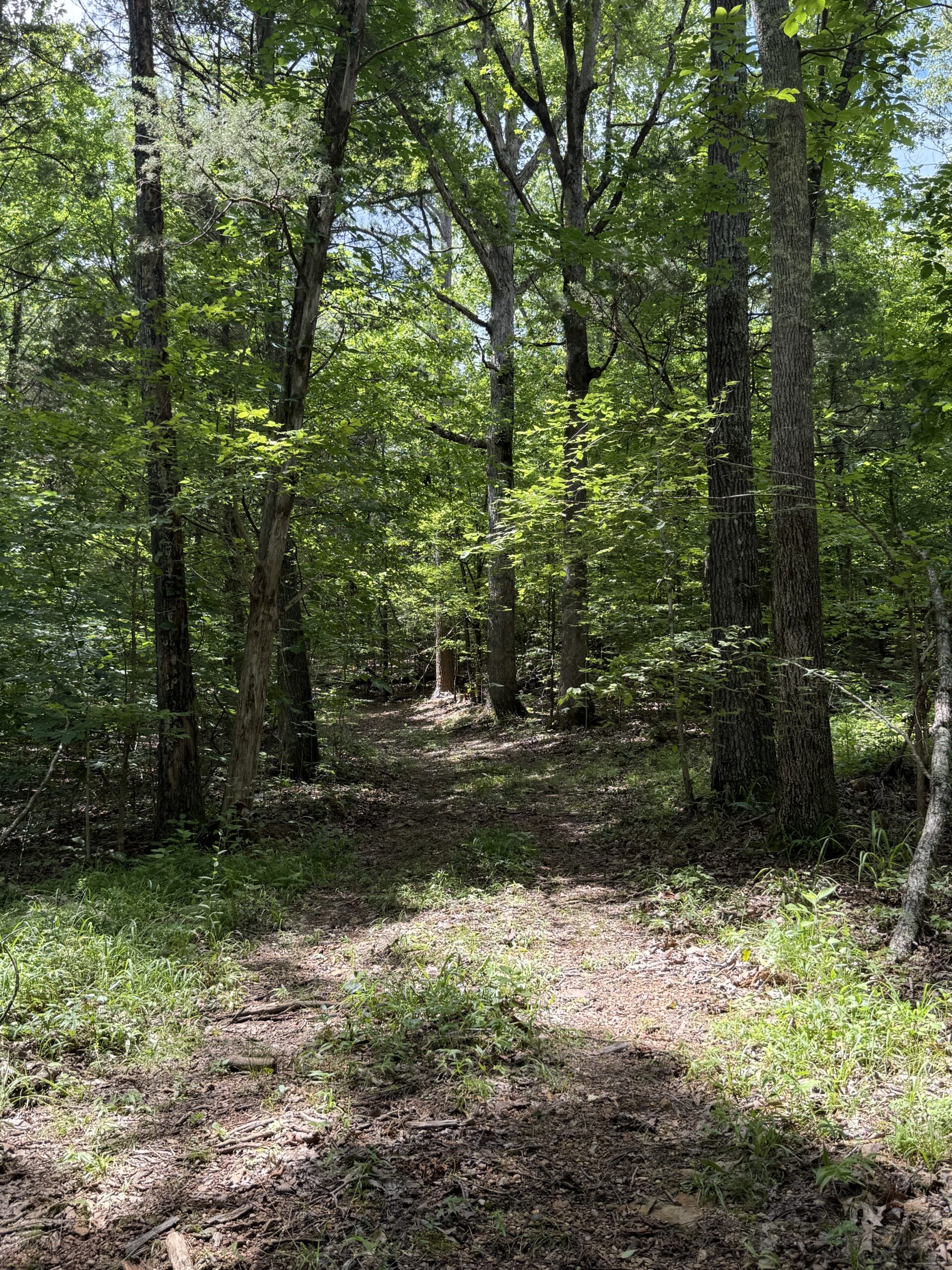 DEER HUNTING PROPERTY FOR SALE IN TN