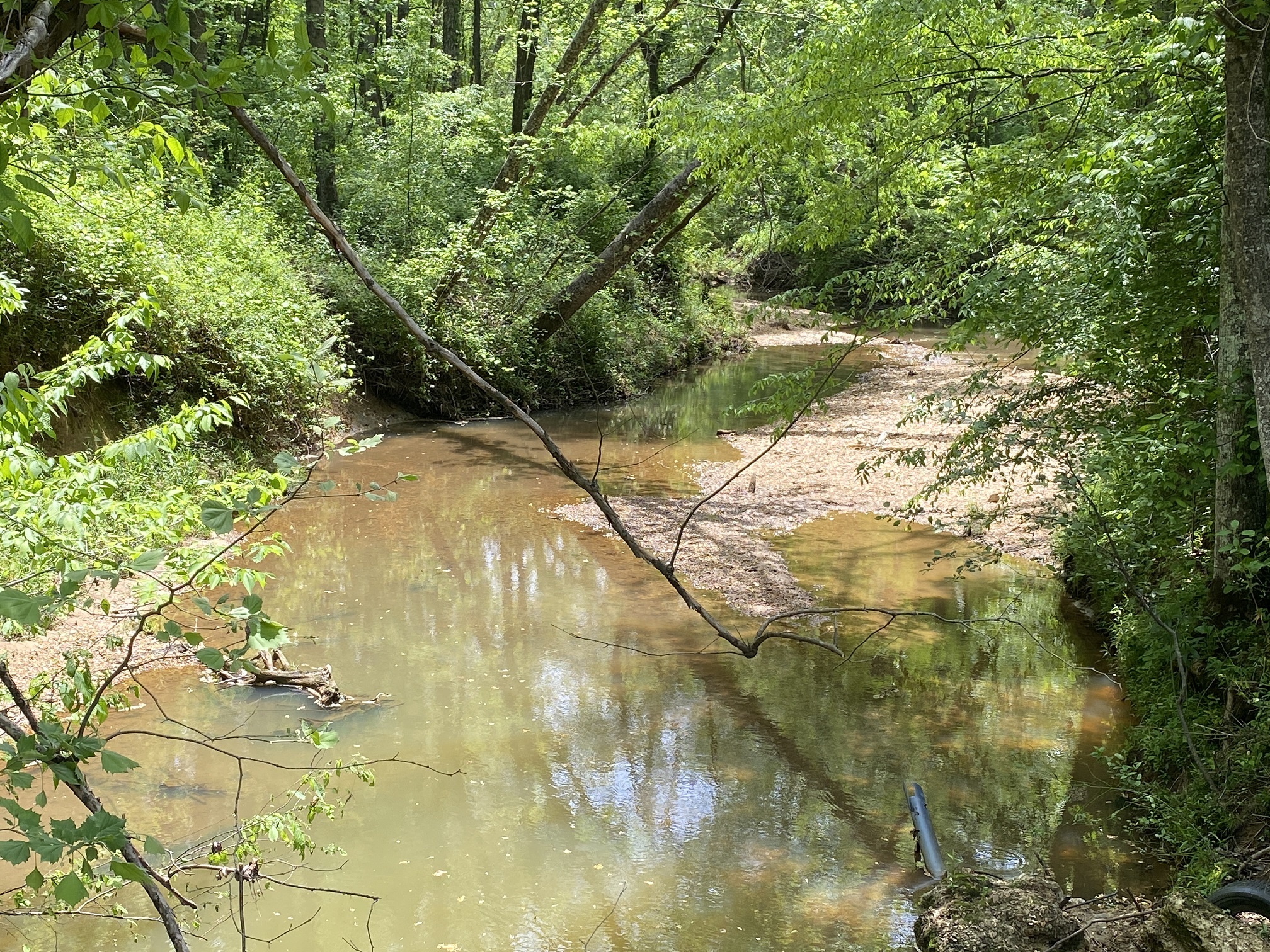 LAND FOR SALE IN TN, CREEKS, OPEN LAND, WOODED, CITY WATER