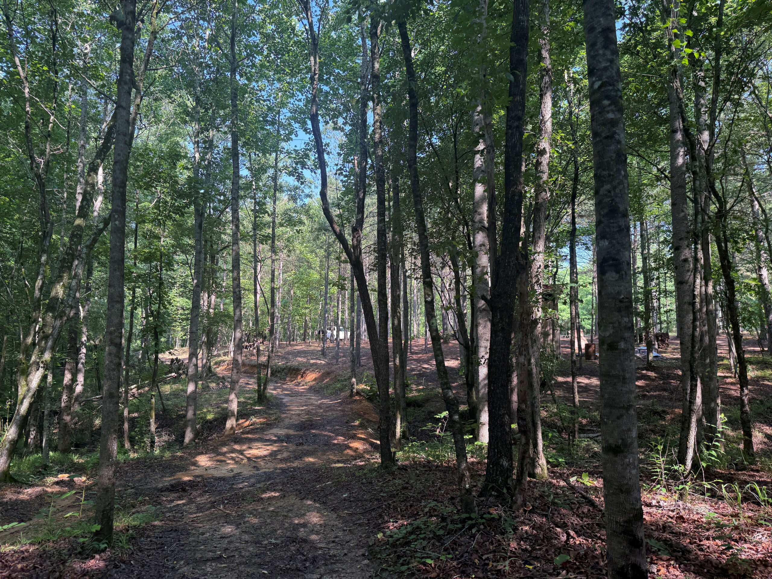 UNRESTRICTED PRIVATE LAND FOR SALE WITH DEER & TURKEY HUNTING