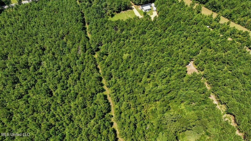 Magnolia MS 18.19 Acres with Mobile Home & Hunting Land