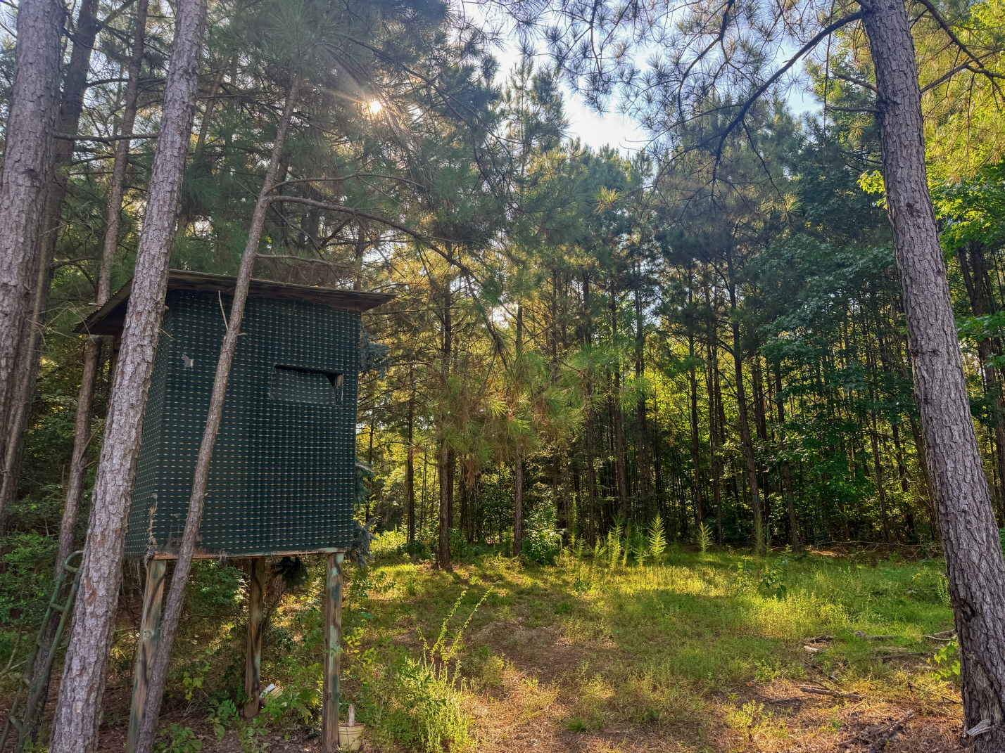Northeast Lincoln Parish Land for Sale