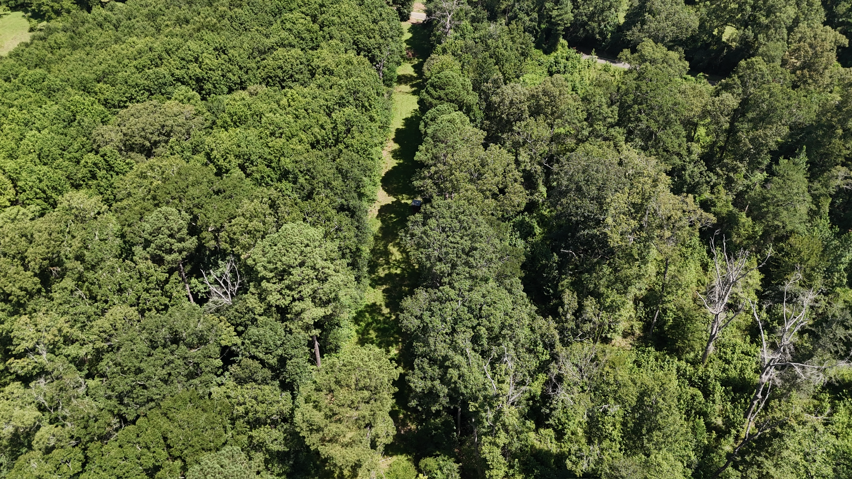 Hunting Property and Homesite in Jackson Parish LA
