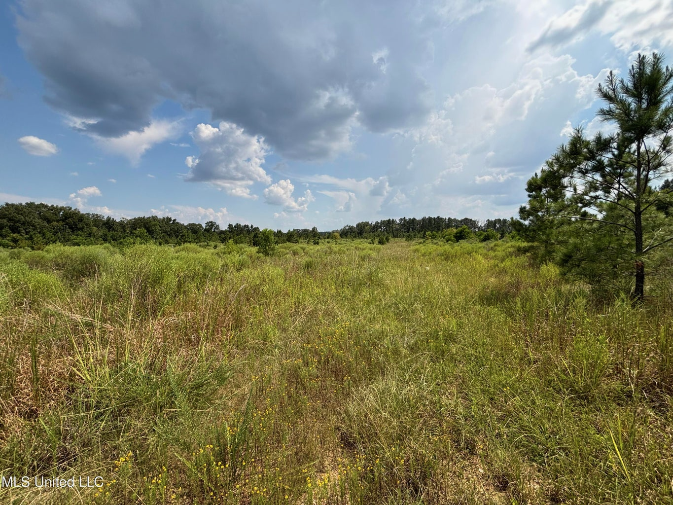 95 Acres for Sale in Hinds County Jackson, MS