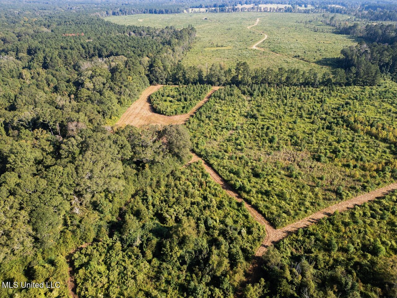 Cotton Creek 169 Acres for Sale in Amite County, MS