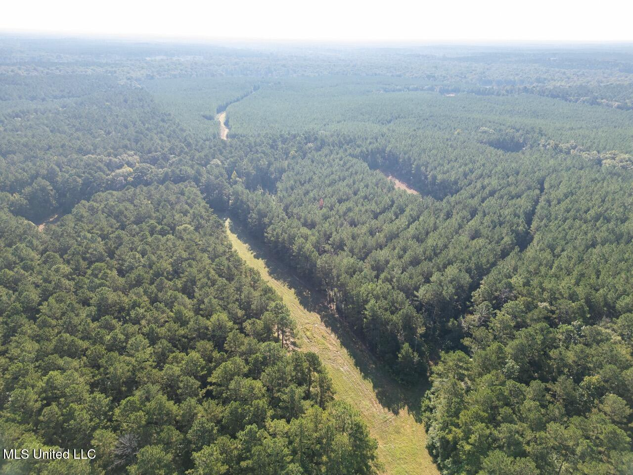 113 Acres Hunting Land with Home in Amite County, MS