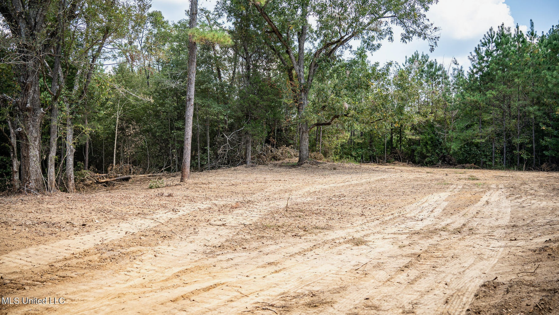 302 Acres in Hermanville, Claiborne County, MS Land