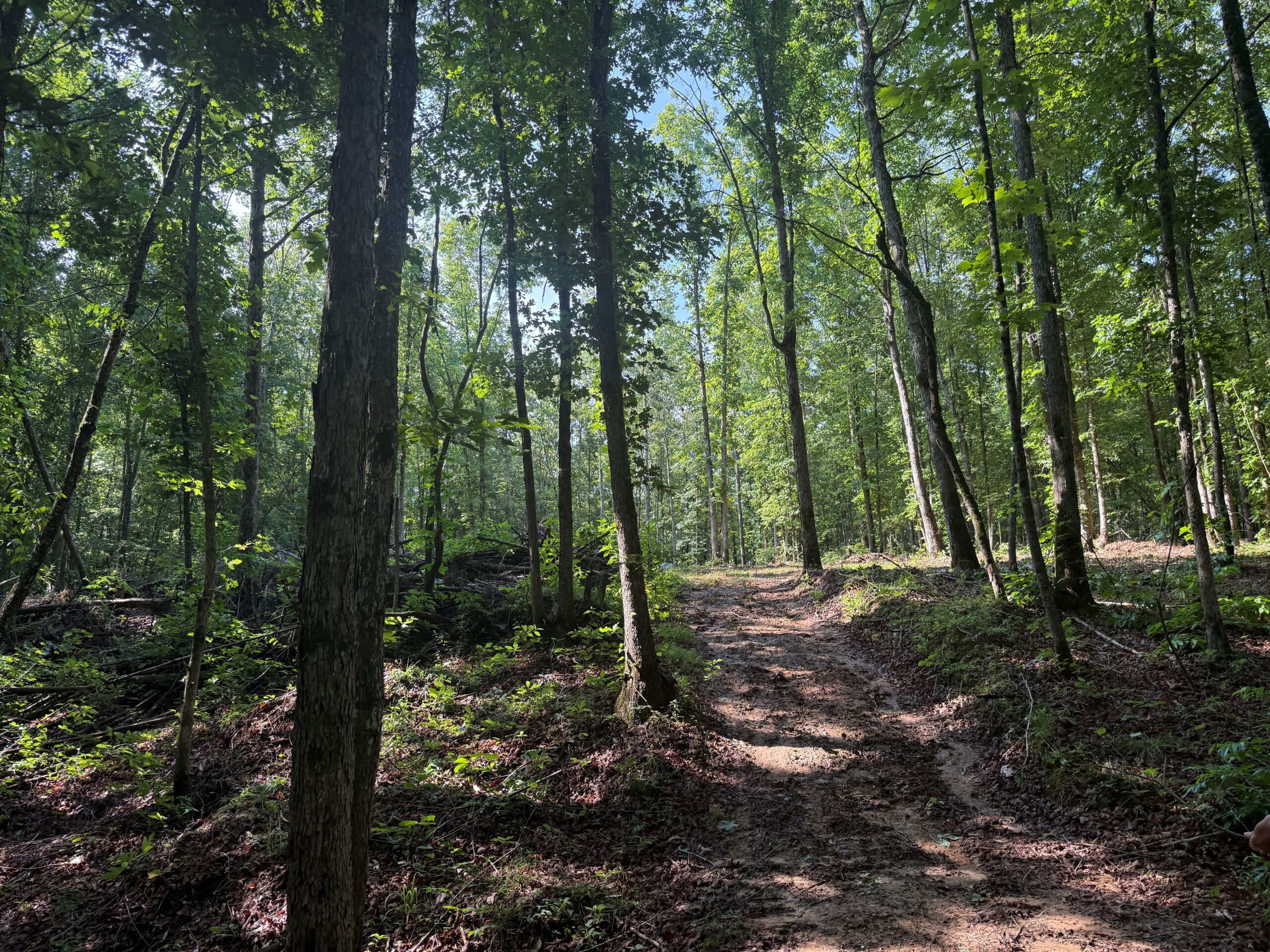 UNRESTRICTED PRIVATE LAND FOR SALE WITH DEER & TURKEY HUNTING