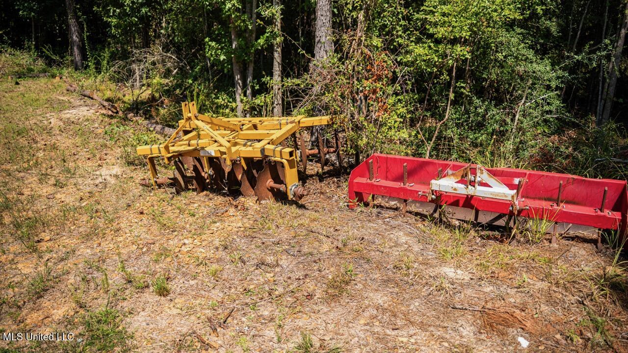 Hunting Land for Sale in Copiah County MS – Dixie Garden 46